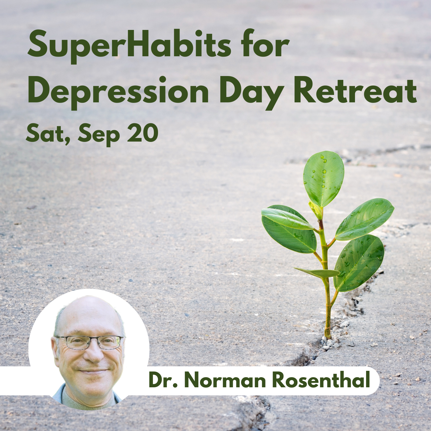 SuperHabits for Depression Day Retreat – Replay Link